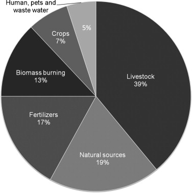 Repartition of sources of global ammonia emissions (Galloway et al., 2004).