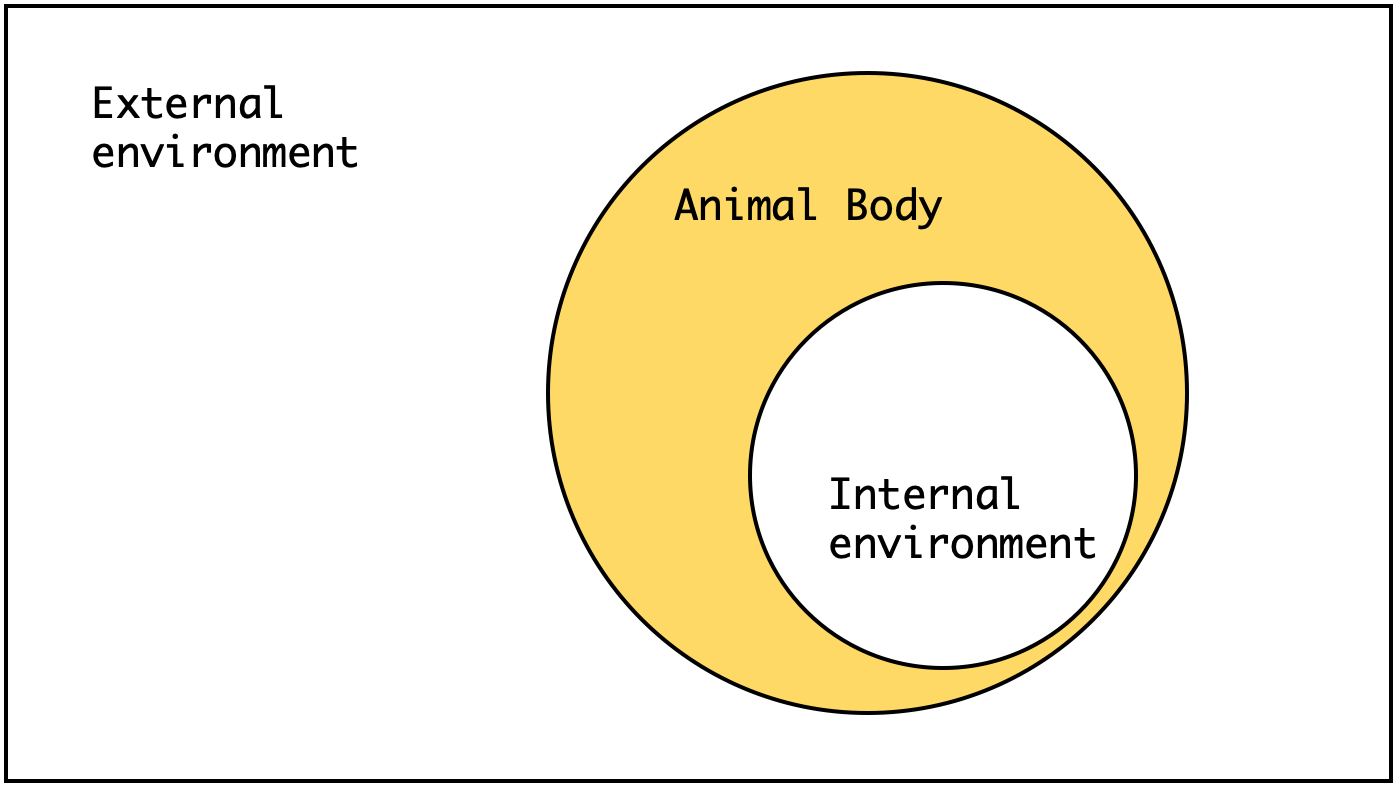 External and internal environment