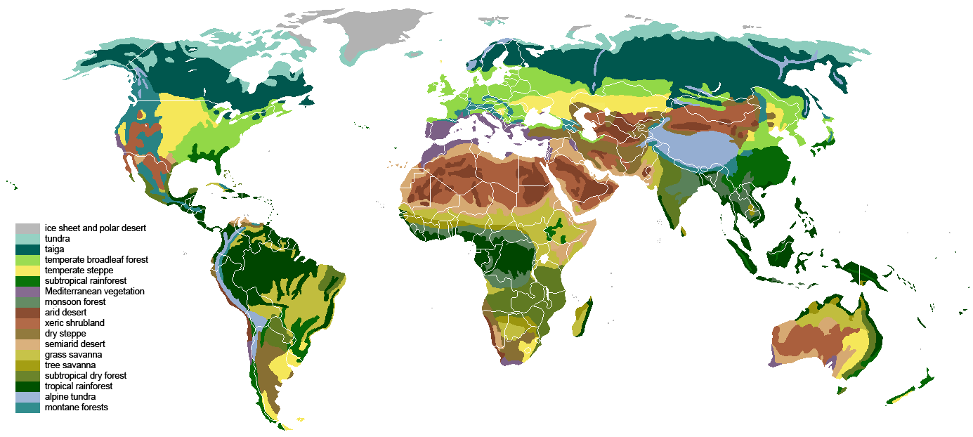 Mapping terrestrial biomes around the world