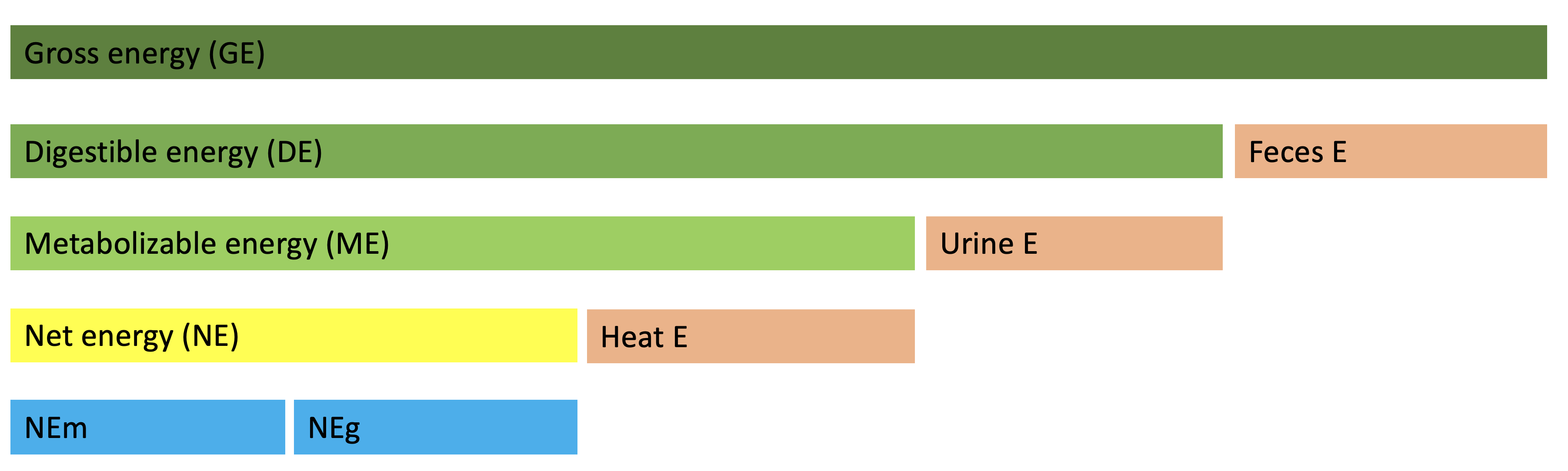 Overview of feed energy flow through the animal body