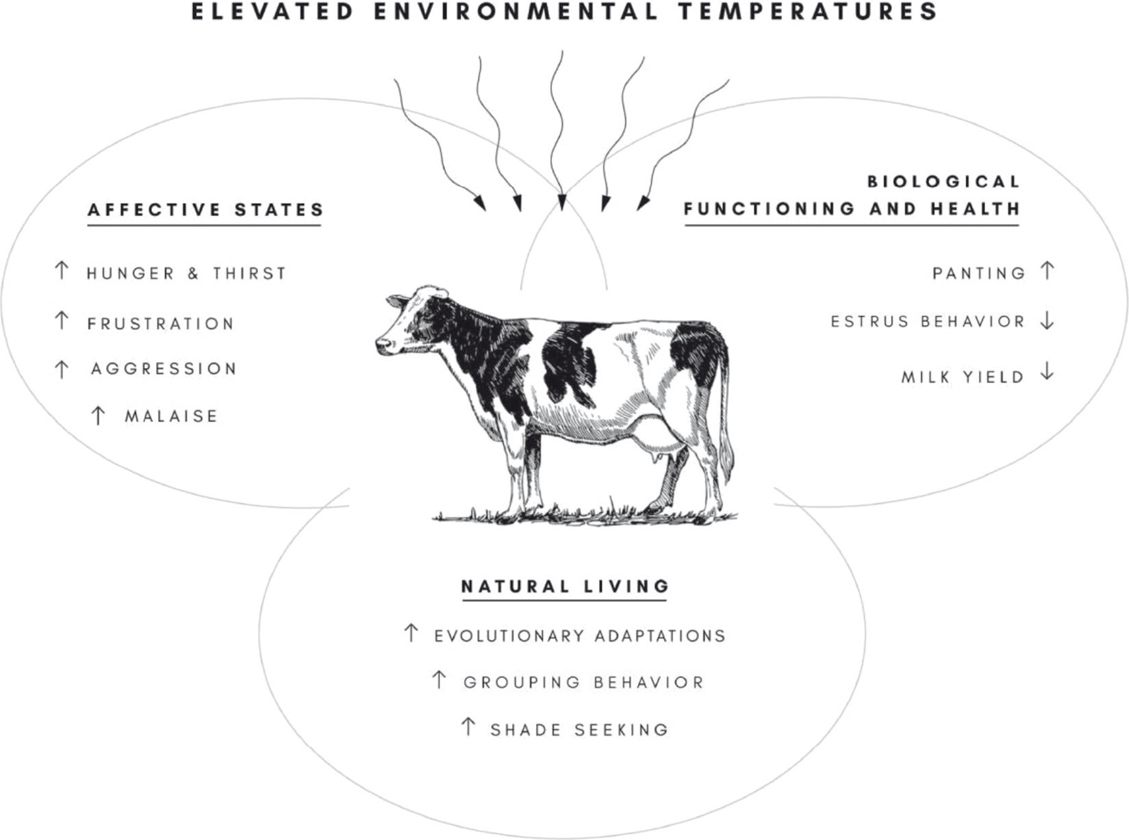 The relationship between the immediate effects of environmental heat stress and the 3 key constructs of animal welfare: (1) the biological functioning (and health) of the animal, (2) the affective states the animal is experiencing, and (3) the naturalness of its life under current heat management strategies (Polsky et al., 2017).