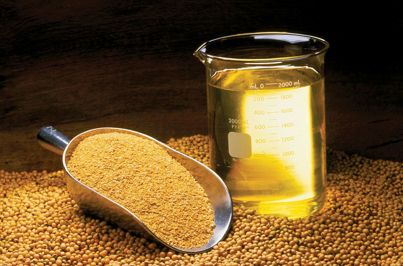 Soybean oil, meal and beans.
